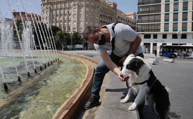 Sitios frescos en Valladolid para pasar la primera ola de calor del verano