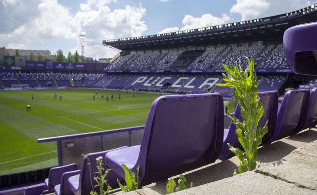 El Real Valladolid publica los pasos a dar para ver en Zorrilla el partido del día 20