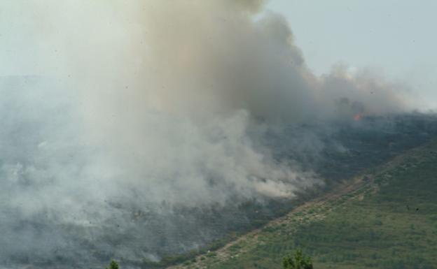 El incendio en Serradilla del Arroyo que calcinó 156 hectáreas se reactivó ayer pero fue rápidamente extinguido