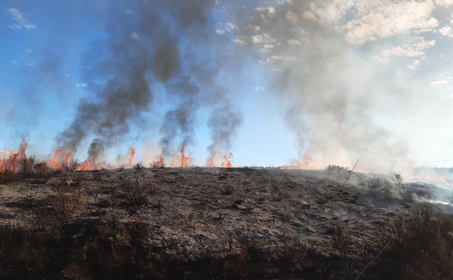 Medios terrestres y aéreos intervienen en un fuego en Pedralba de la Pradería