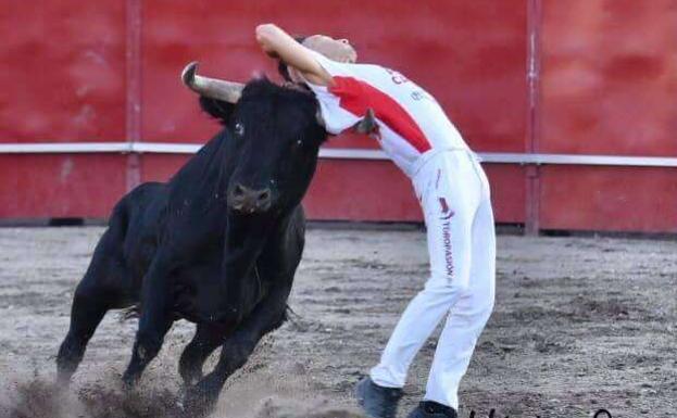 Luis Gómez gana el concurso de cortes de Tudela de Duero