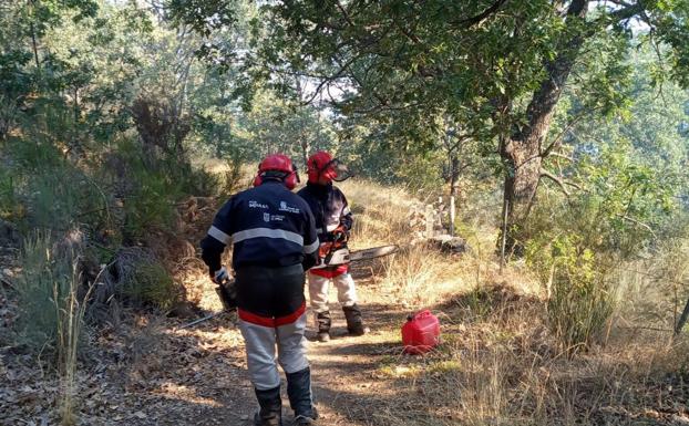 Baja a nivel 1 el incendio de Navalacruz y se mantiene estabilizado