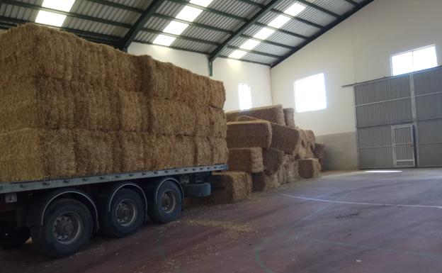 La Junta garantiza suministros en Ávila para ganaderos afectados por el incendio
