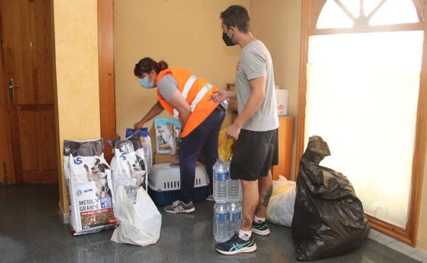 «Todo lo que sea para curar a los animales»