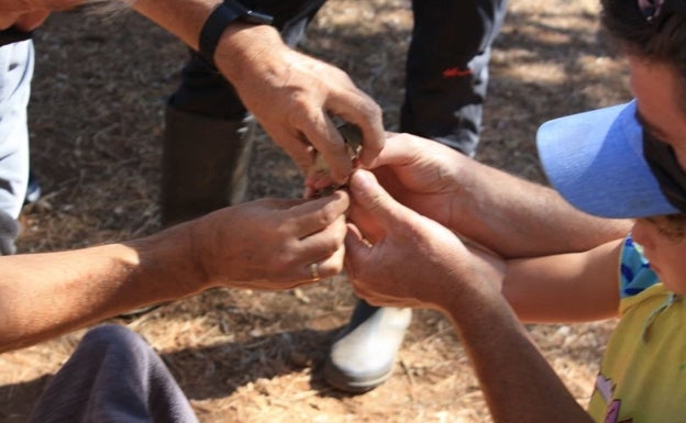 Éxito en las II Jornadas Ornitológicas de Fuentecantos celebradas el fin de semana