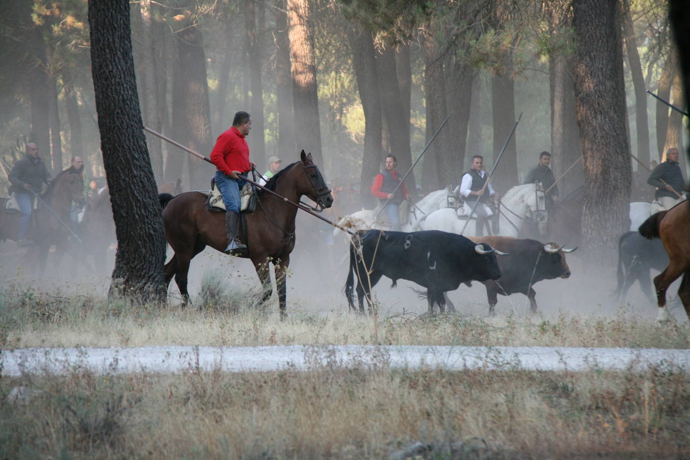 Encierros de Cuéllar pide un esfuerzo para apuntalar un acuerdo sobre el recorrido