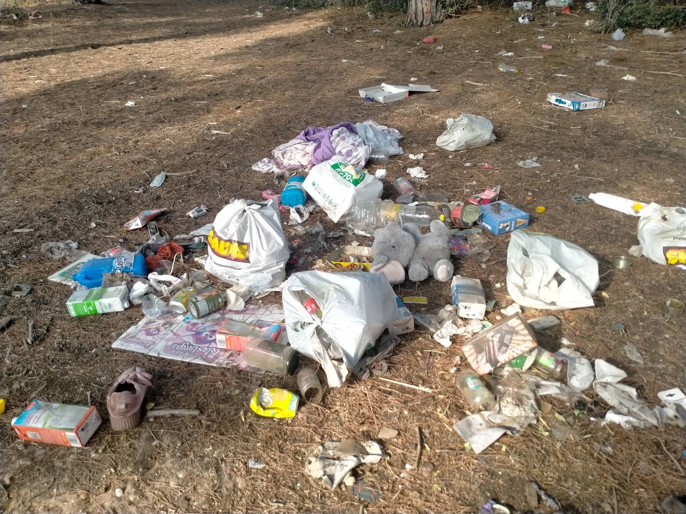 Vertedero incontrolado en Pinar de Jalón, Valladolid