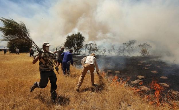 El incendio de San Felices de los Gallegos ha calcinado 1.735 hectáreas de arbolado matorral y pastos