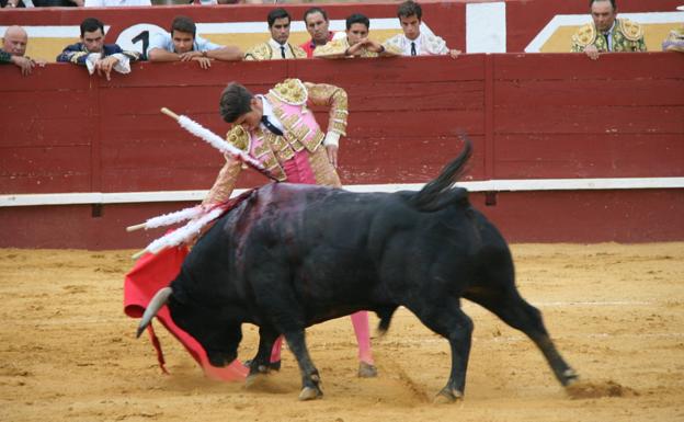 Hierros de Cebada Gago, Pablo Mayoral y Manuel Blázquez, en el ruedo cuellarano