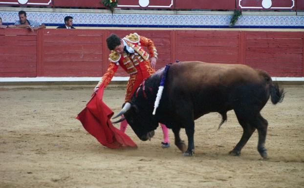 Pedrajas de San Esteban retoma este fin de semana el Certamen de novilleros 'El Piñón de España'