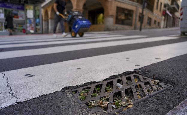 El Ayuntamiento limpia más de 6.600 sumideros del alcantarillado para evitar la acumulación de agua de lluvia