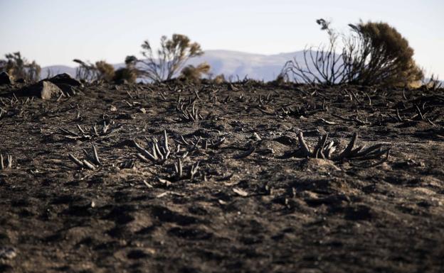 Incendios y despoblación