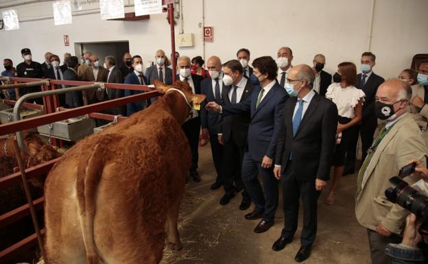 Salamaq, primera gran feria agrícola y ganadera que retoma la actividad tras la pandemia