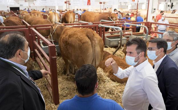 Tudanca recuerda a Mañueco la posición común de Ministerio y Consejería por los agricultores profesionales