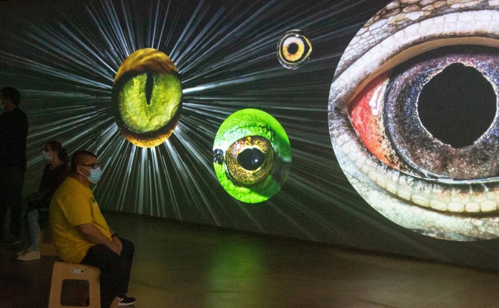 El Museo del Agua se consolida como referente turístico