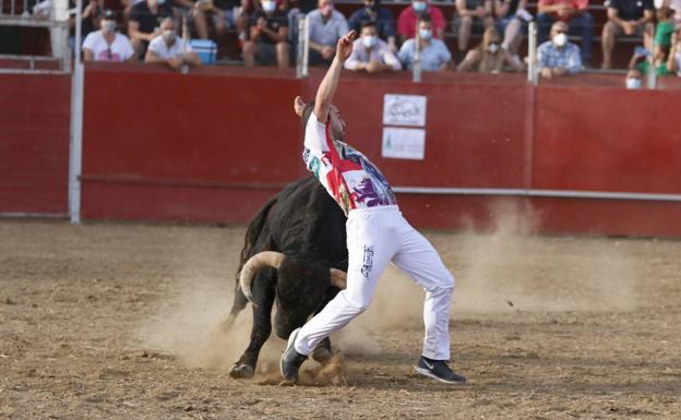 Jorge Salán gana el concurso de cortes de Villalón de Campos