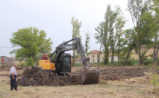 Cuéllar tala la chopera de Dehesa para construir un nuevo parque