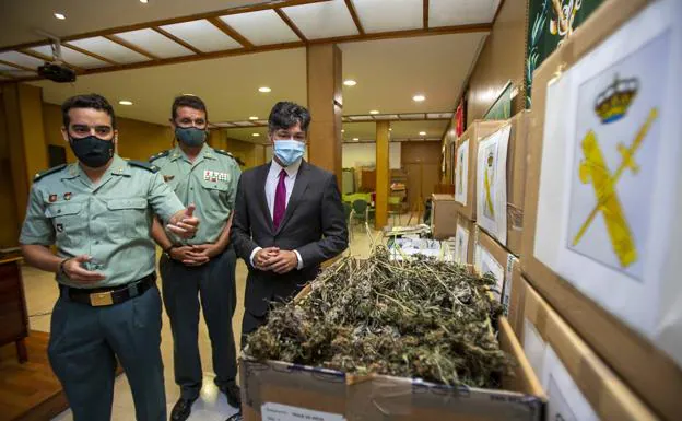 Detenido el propietario de un laboratorio que albergaba 860 plantas de marihuana en Ávila