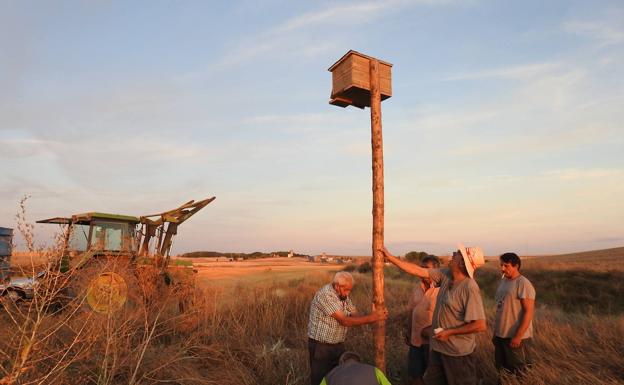 Fuentepiñel retoma su proyecto de recuperación de su fauna avícola