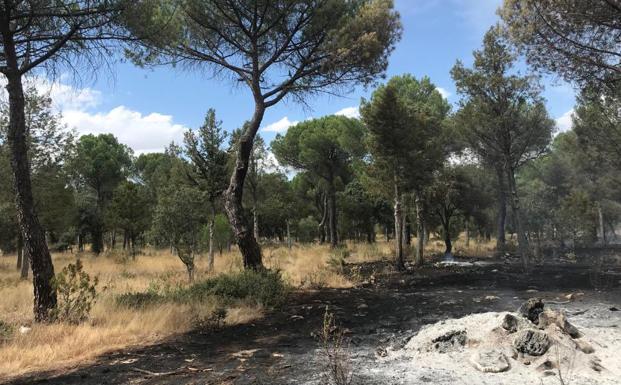 Activos dos fuegos en Palencia y uno en Valladolid