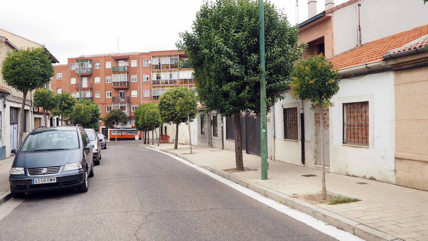 La otra mirada a Valladolid: Pajarillos