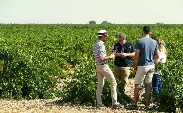 Cuatro Rayas retoma las visitas presenciales con la 'Vendimia de las estrellas'