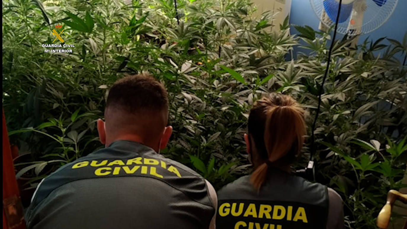 Desarticulados cinco puntos de venta de droga en la provincia de Palencia