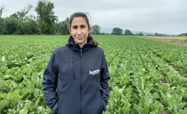 El tiempo esta semana: Anuncio de chubascos que favorecen las siembras