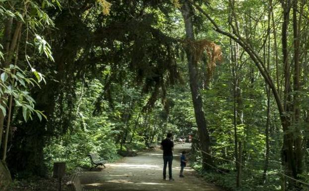 Árboles genealógicos