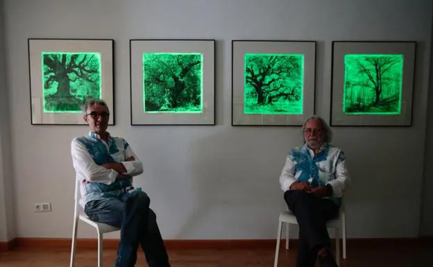 Espacio abierto, nueva galería de Valladolid, se estrena con 'El alma del bosque'