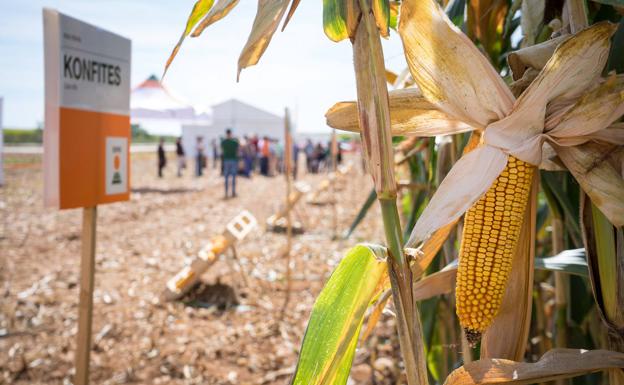 KWS abre su campo experimental al conocimiento