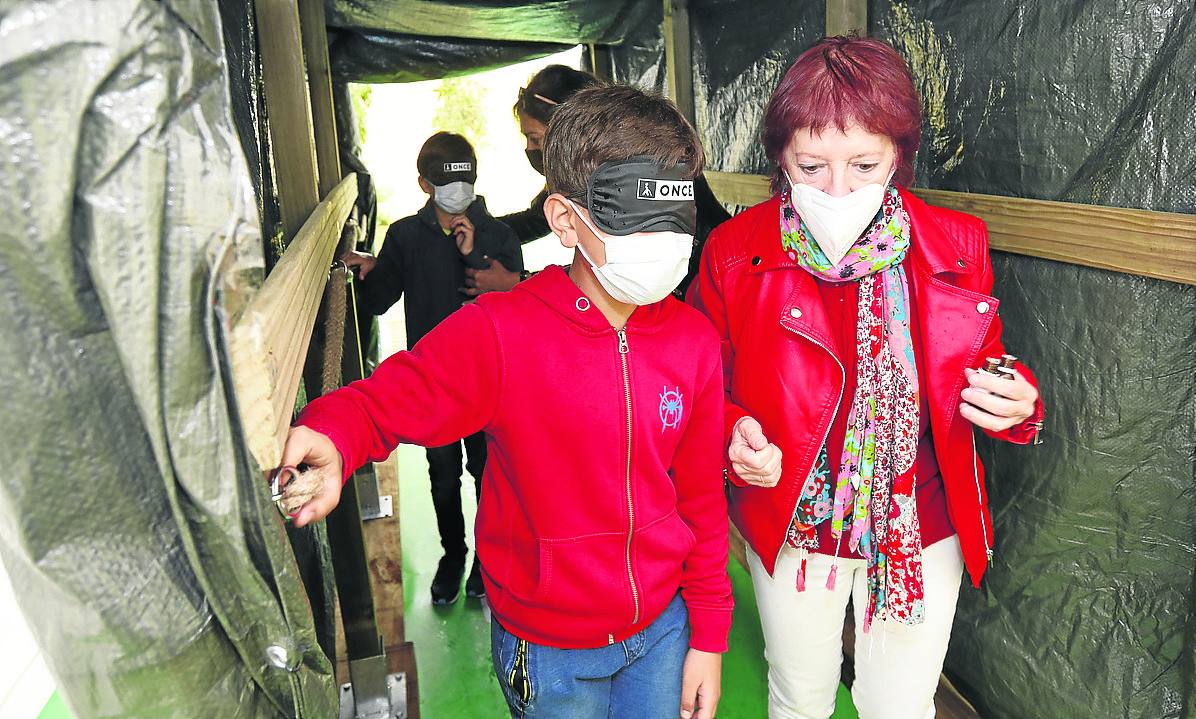 El despliegue de los colores de la ilusión