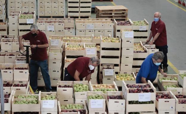 Más de mil beneficiarios del Banco de Alimentos son nuevos pobres por la crisis de la covid