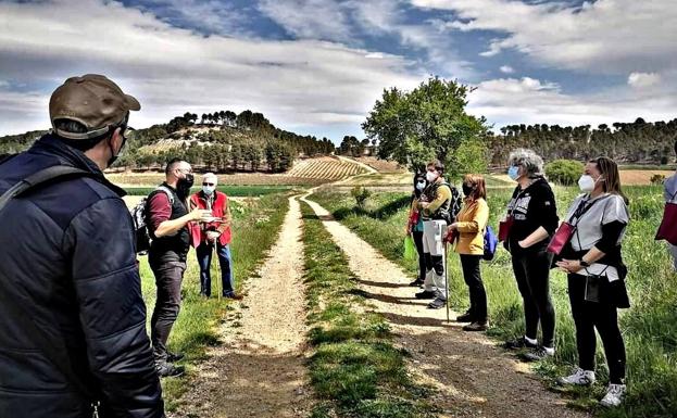 Cigales, enoturismo los 365 días