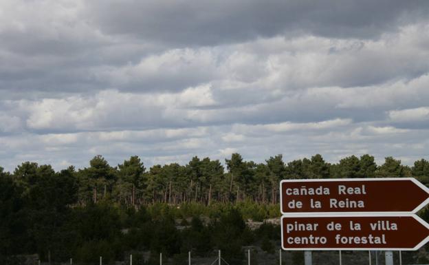 Cuéllar espera recaudar más de 184.000 euros de lotes de madera desiertos