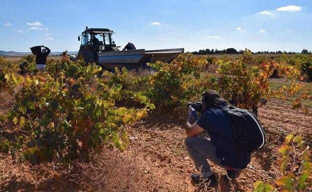 La Ruta del Vino Cigales organiza su I Rally Fotográfico en plena vendimia