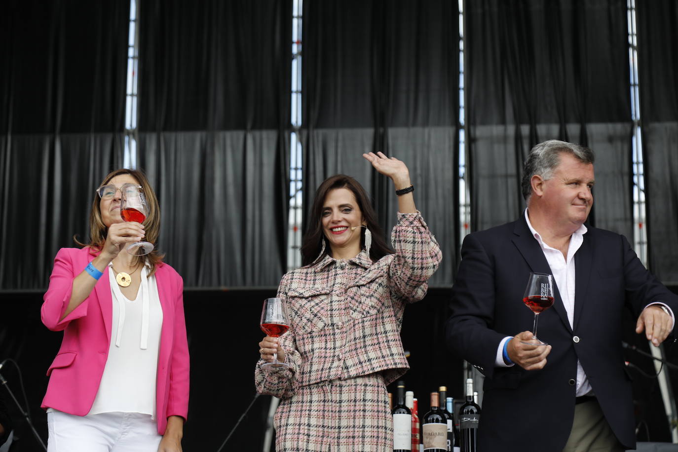 IV Fiesta de la Vendimia de la Ribera del Duero