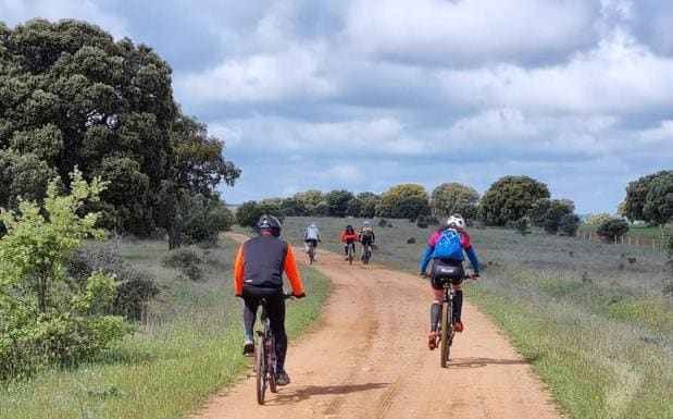 Carrascal de Barregas organiza una prueba para bicicletas BTT de la Cañada Real Burgalesa