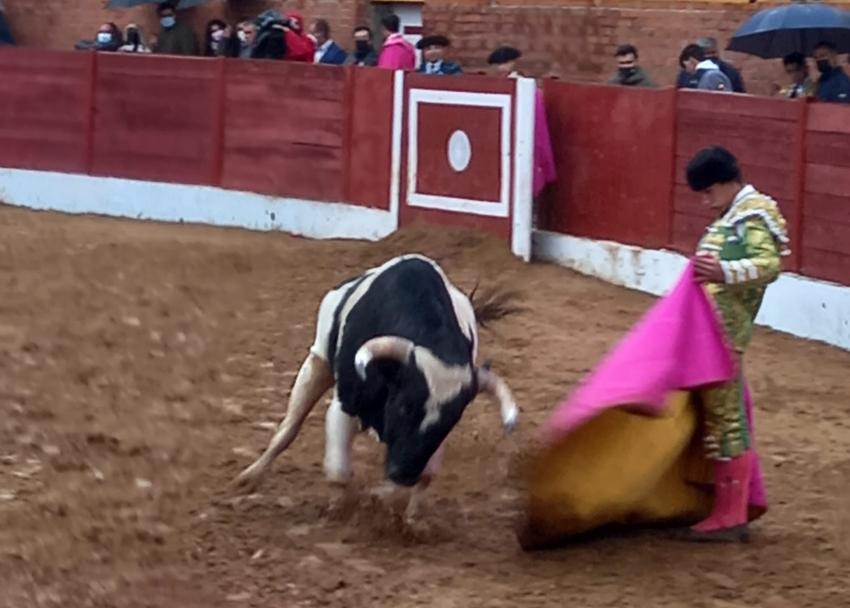 Lluviosa final del circuito novilleril en Fuentesaúco