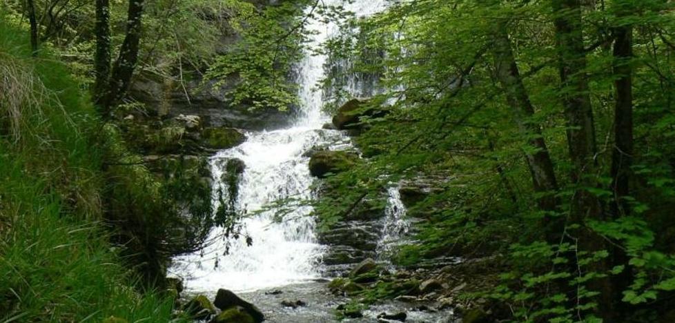 Rutas para descubrir las cascadas más espectaculares en Burgos - Vimarsana News