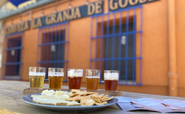 Desde ginebras a cervezas artesanas, todo es Tierra de Sabor