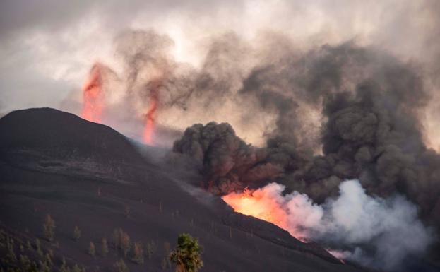 El PSOE propone impulsar una acción solidaria desde Salamanca para apoyar a los vecinos de La Palma