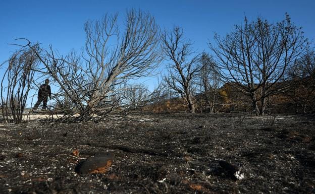 300.000 euros para restaurar las zonas afectadas por el incendio de El Tiemblo y Cebreros