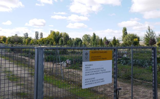 El Ayuntamiento de Carbajosa abre el plazo de solicitud para optar a uno de los 130 huertos familiares