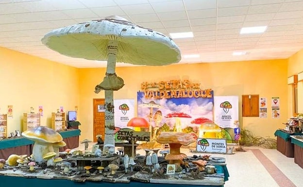 Éxito en el inicio del Tour de Otoño que llegará a más de diez localidades