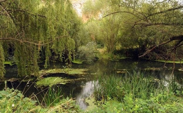 El buen tiempo y la campaña micológica sitúan a Soria en el segundo destino turístico en el Puente de el Pilar