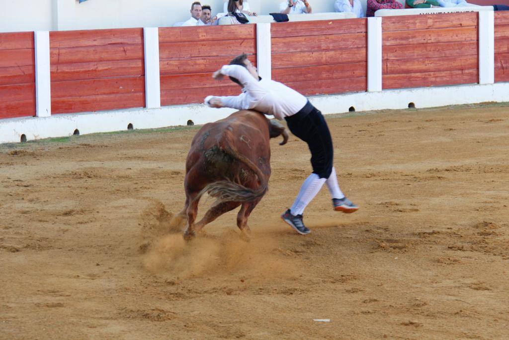 El salmantino Iván González gana el concurso goyesco de cortes de Olmedo