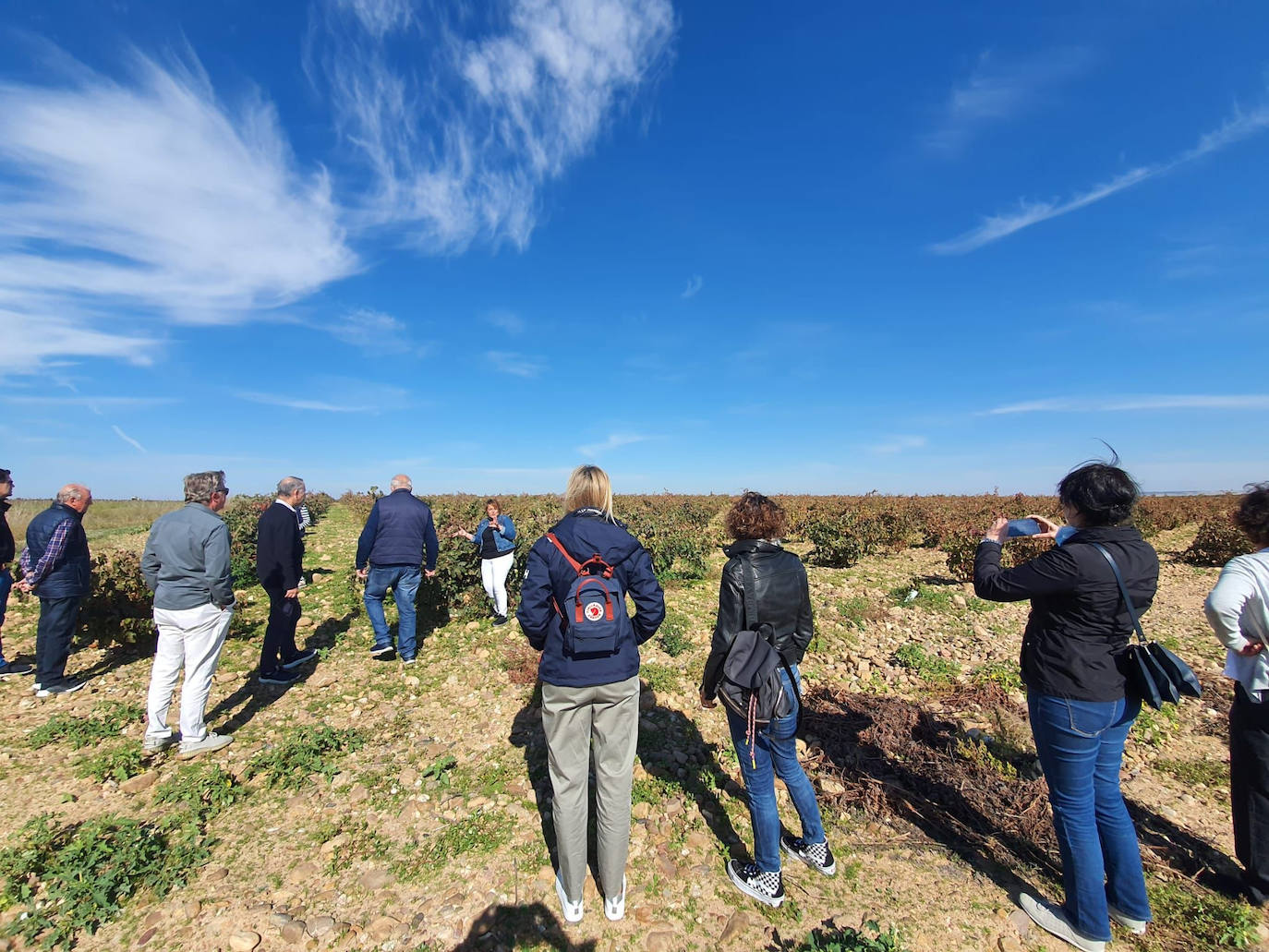 Visita guiada a viñedos de Toro en el contexto del evento 'Valladolid. Plaza Mayor del vino'