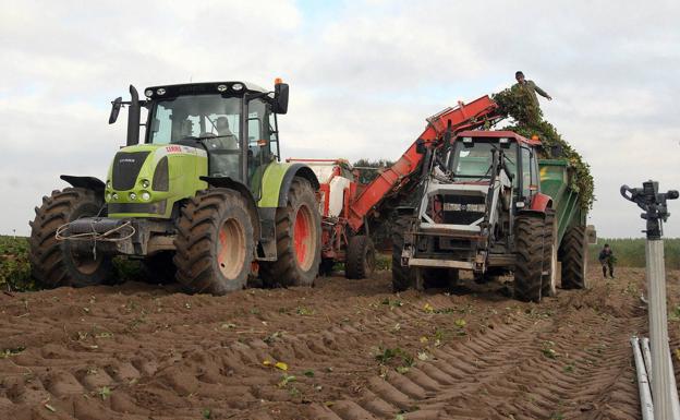 Cinco positivos más elevan a 72 los infectados en los brotes entre temporeros de Segovia