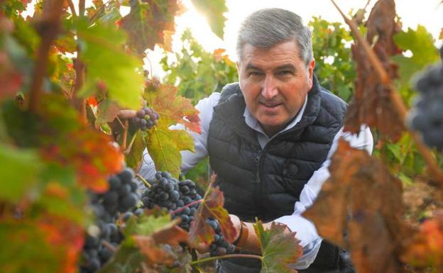 José Manuel Pérez Ovejas: «Con el vino no hay VAR ni moviola y no cabe la rectificación»